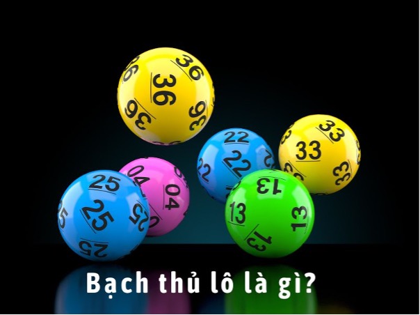 bạch thủ lô là gì