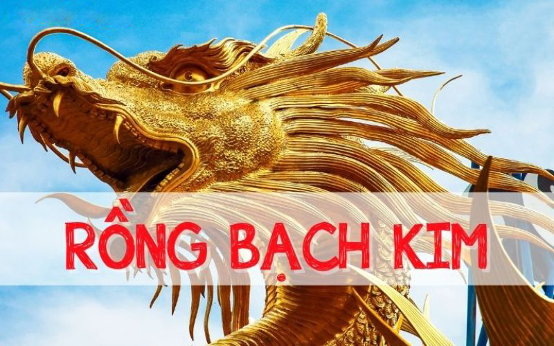 Lô top Rồng Bạch Kim
