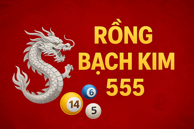 Rồng bạch kim 555