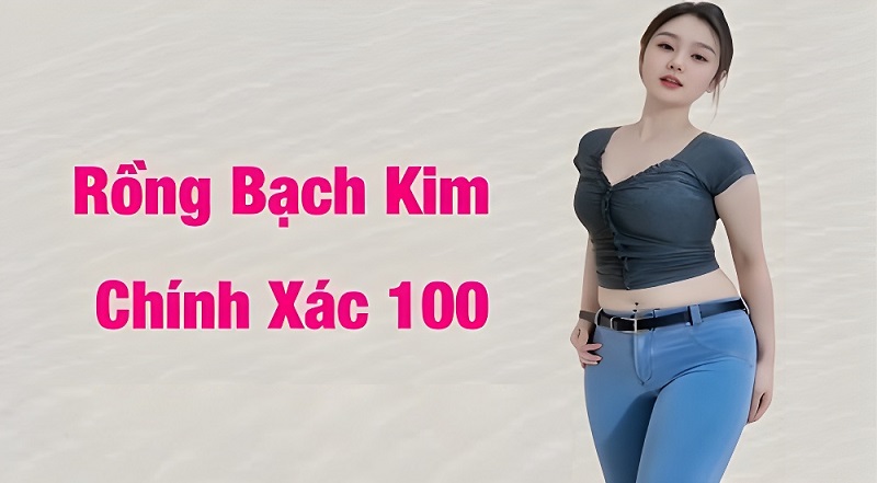 soi cầu 247 rồng bạch kim