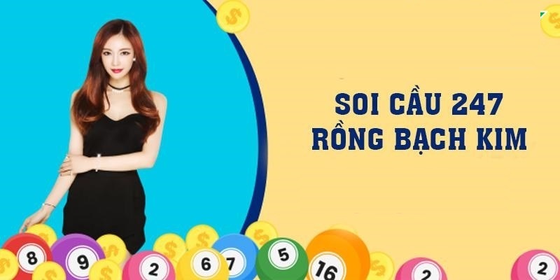 soi cầu 247 rồng bạch kim