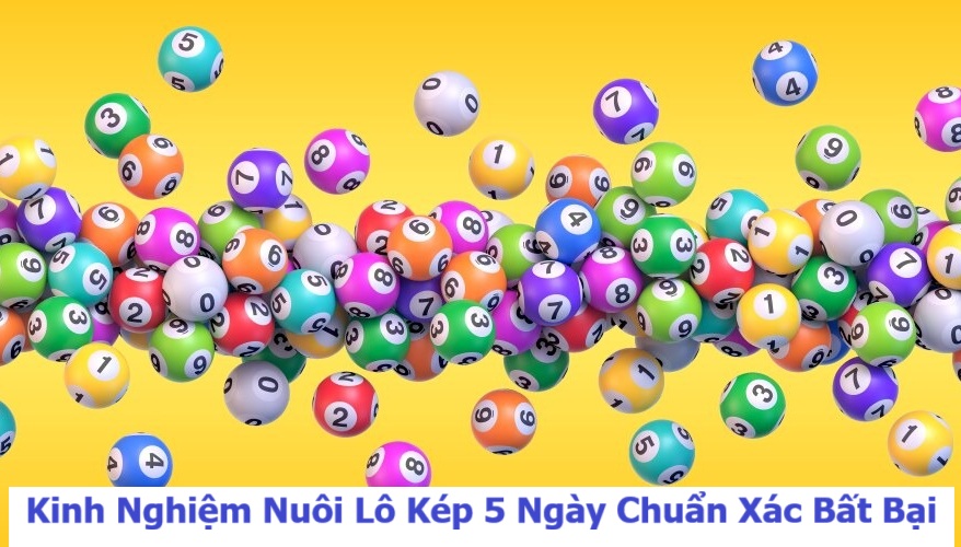 Kinh nghiệm nuôi lô kép 5 ngày chuẩn xác