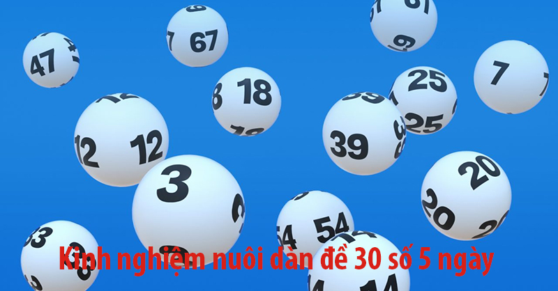Kinh nghiệm nuôi dàn đề 30 số 5 ngày