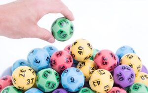 Nuôi đầu đuôi khung 6 ngày