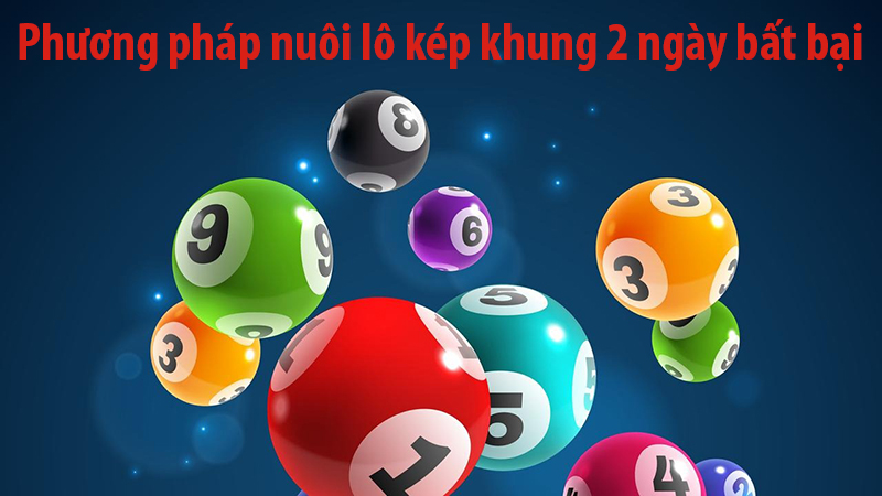 Phương pháp nuôi lô kép khung 2 ngày bất bại