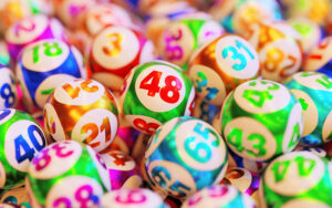 Rồng bạch kim MB